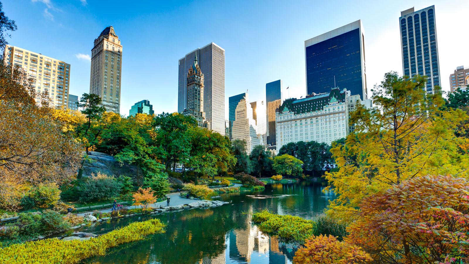 Preserving Central Park, Manhattan's Urban Oasis - Cornellians