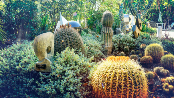 A Cacti Expert’s Vast L.A. Garden Is a Drought-Tolerant Wonder