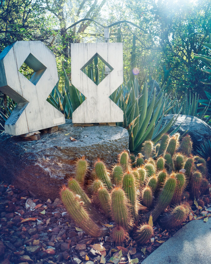 A photo of cacti near a modern sculpture