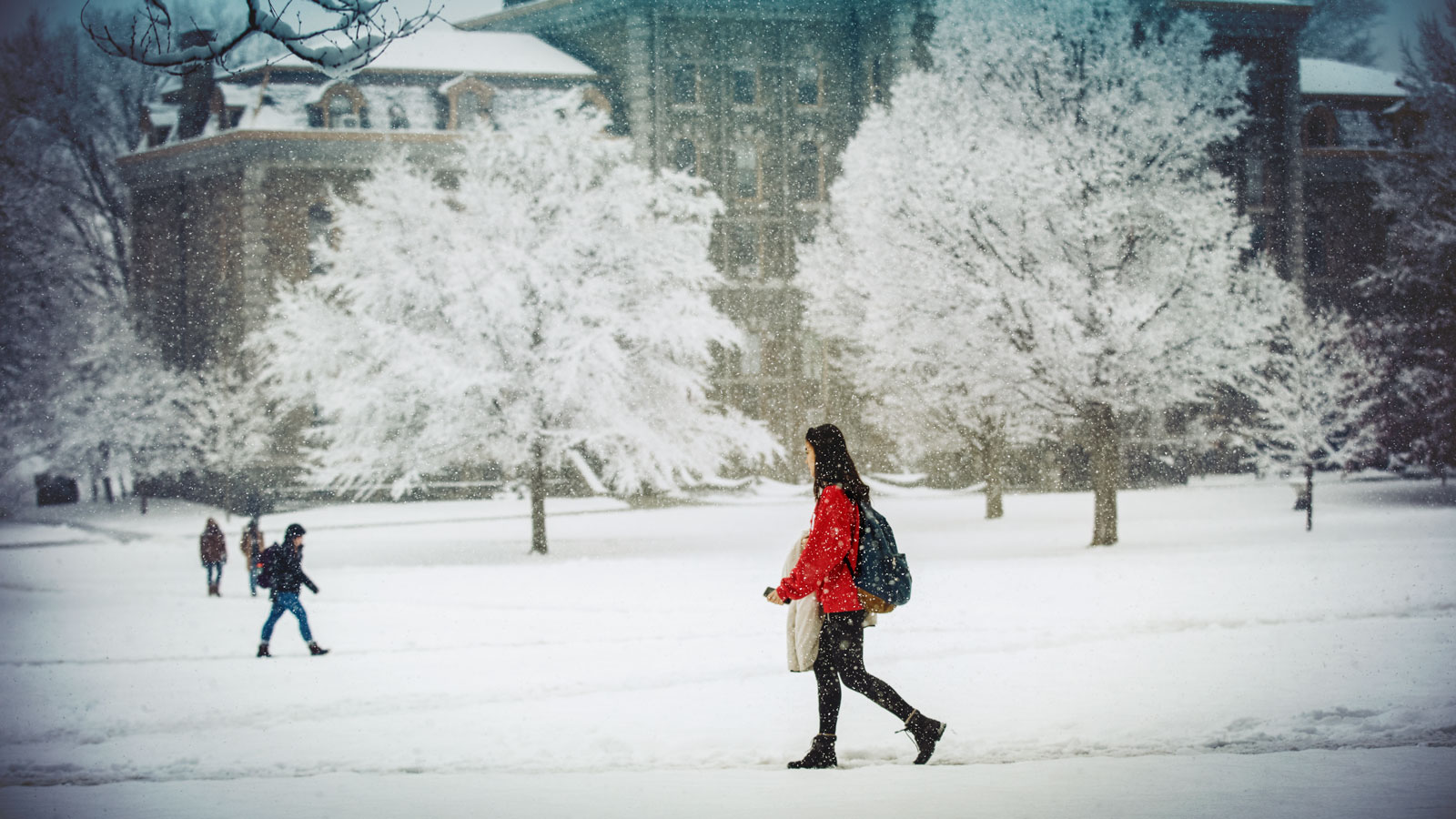 A student adds a pop of Cornell red to the Arts Quad during a winter snowfall