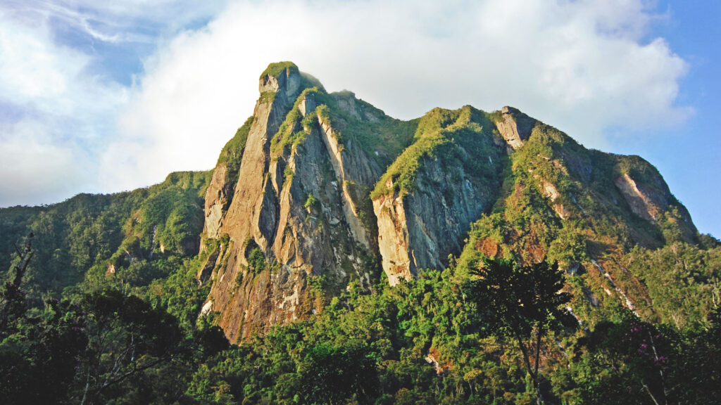A view of the mountains of Marojejy-National-Park