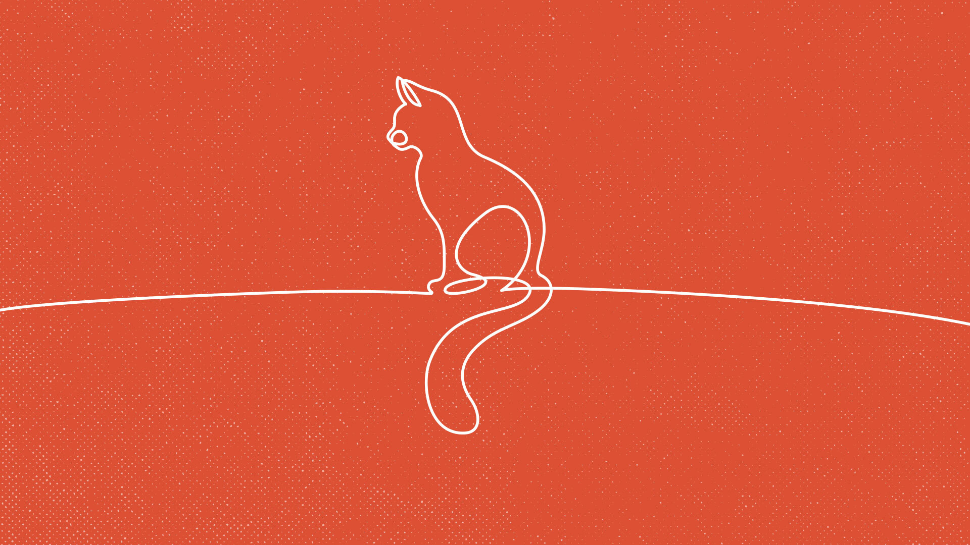 A line drawing of a cat