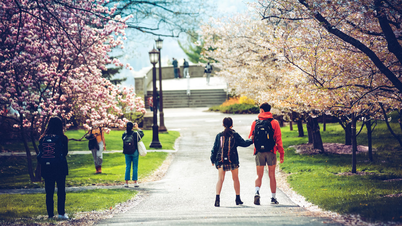 Iconic cherry blossoms of DC inspire new uniforms for local professional  sports teams