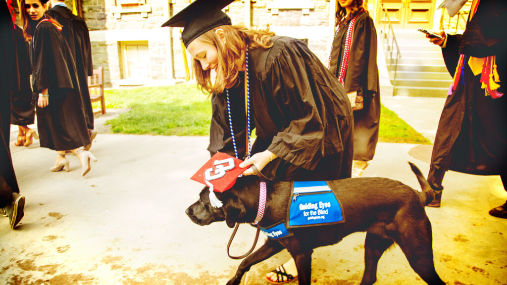a graduate adjusts a "CU"-decorated mortarboard on the head of a Guiding Eyes for the Blind dog at Commencement