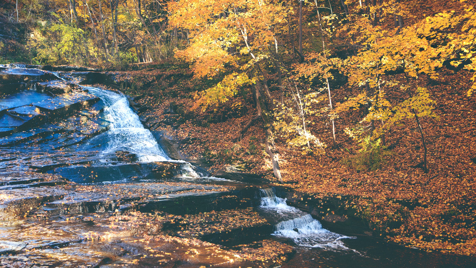 Peaceful river waterfalls, birds chirping, babbling streams