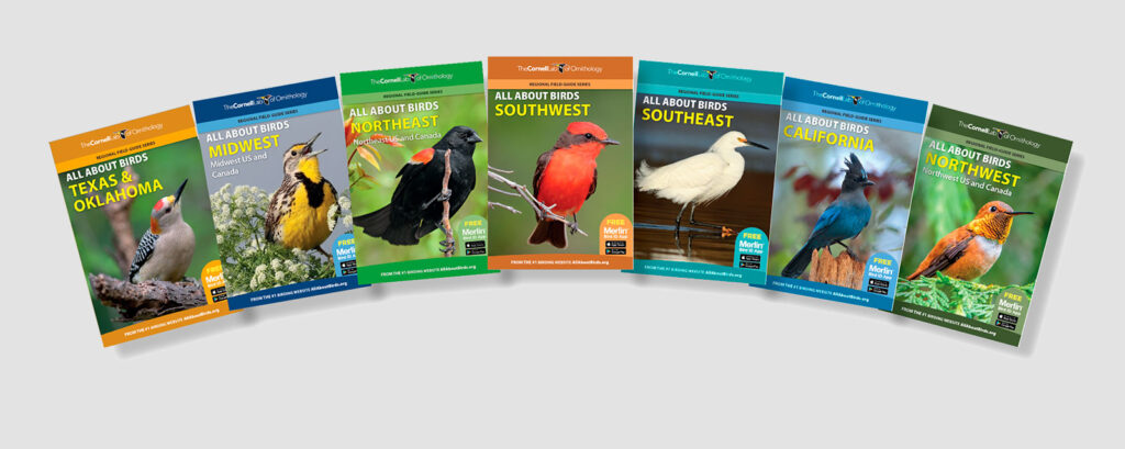 the covers of the 7 'All About Birds' books