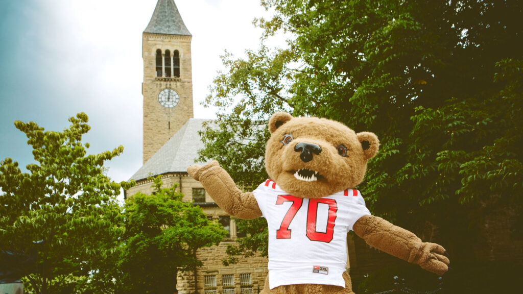 A person wearing a bear mascot uniform in a sports jersey, in front of a building with a clock tower.