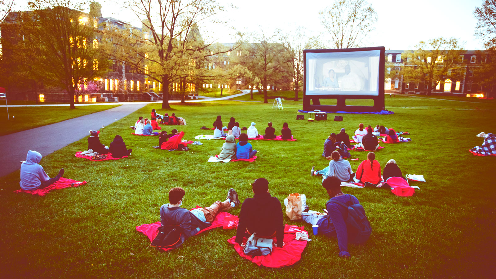 People sitting on the grass watching a movie