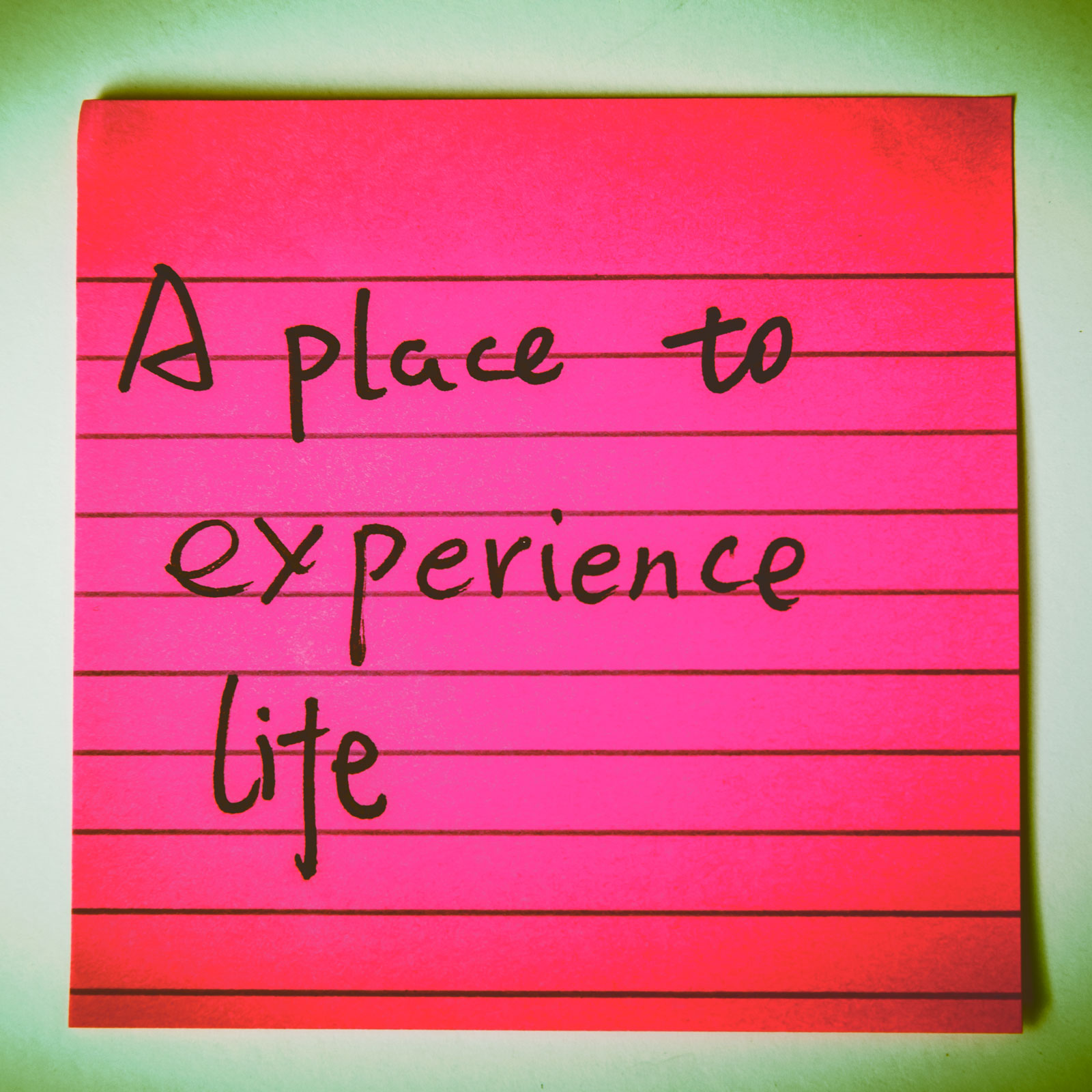 A place to experience life