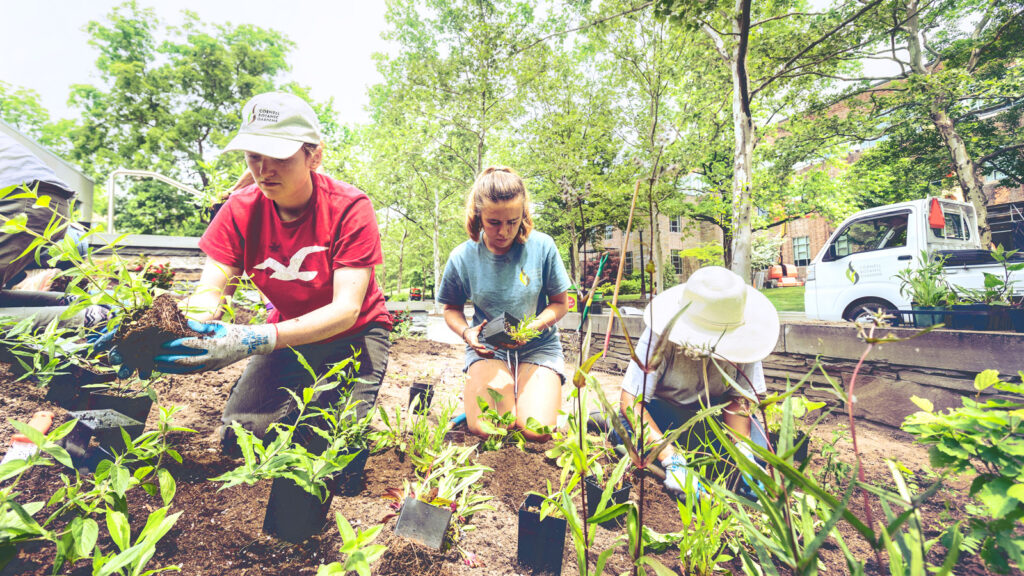 Three people planting in a garden