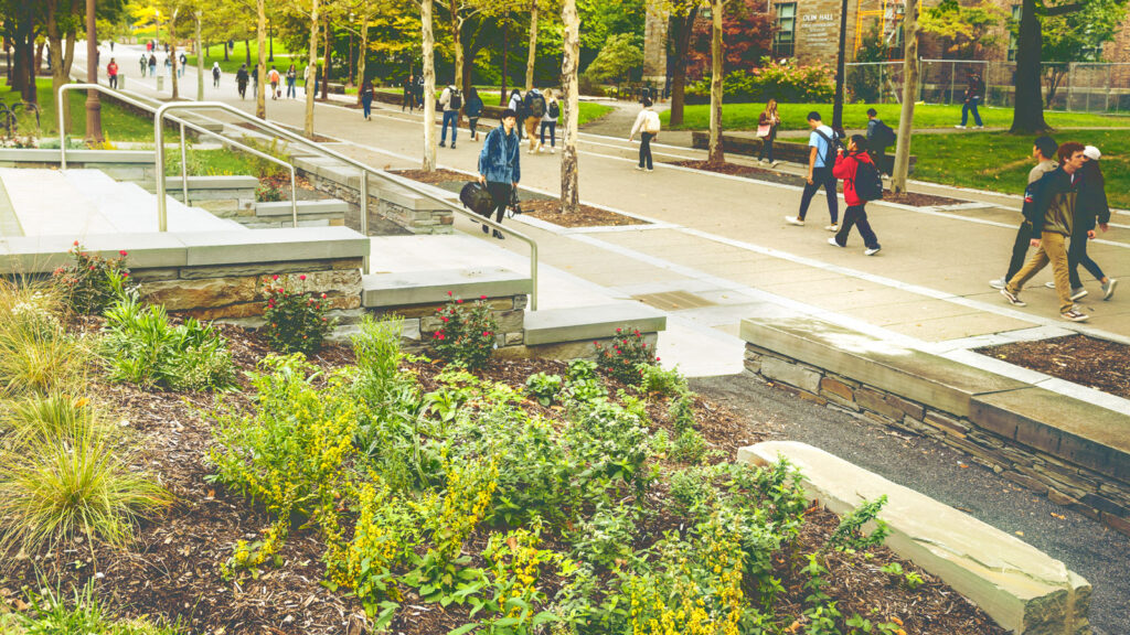 The medicinal garden on Cornell's Ho Plaza