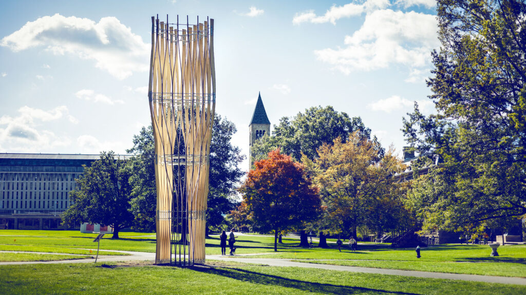 "UNFRAME," a built environment wood sculpture installation on the Arts Quad