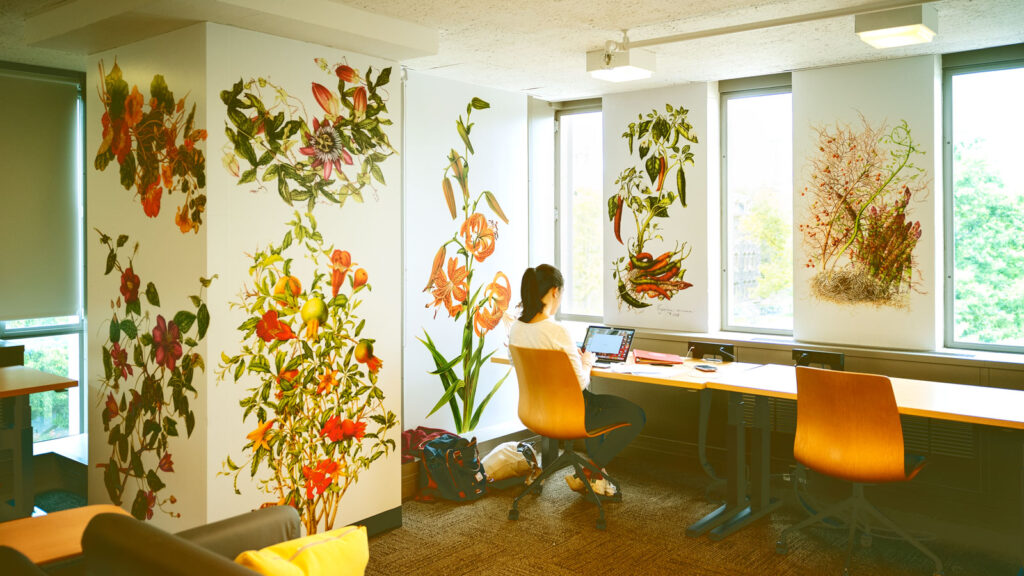 View of the large floral illustrations on the walls of the Peter C. Meinig 1961 Memorial Reading Room in Olin Library