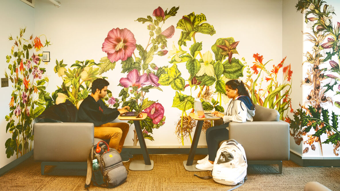 Flower Power: In Olin Library, a Study Space with Botanical Flair