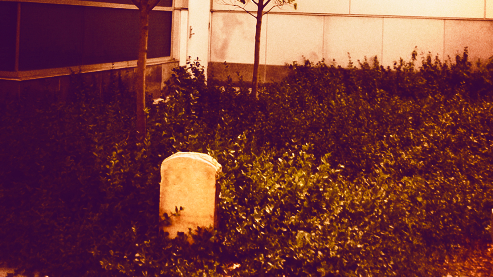 tombstone-shaped marker outside Duffield Hall