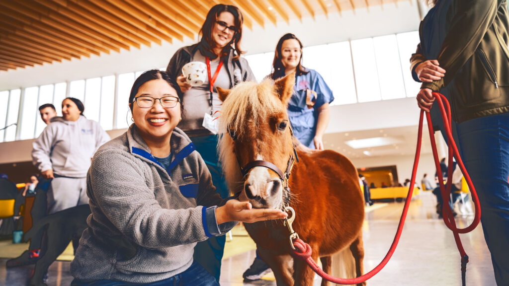 Students with Minnie the miniature horse