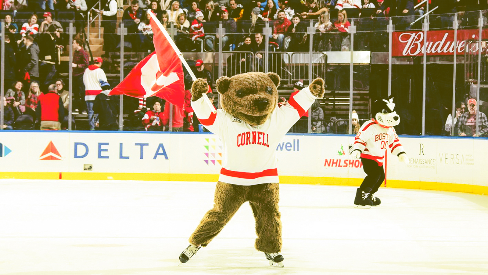 Touchdown the Big Red Bear skates during a hockey game at Lynah Rink