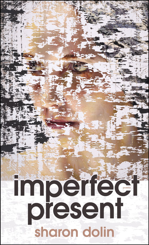 the cover of Imperfect Present