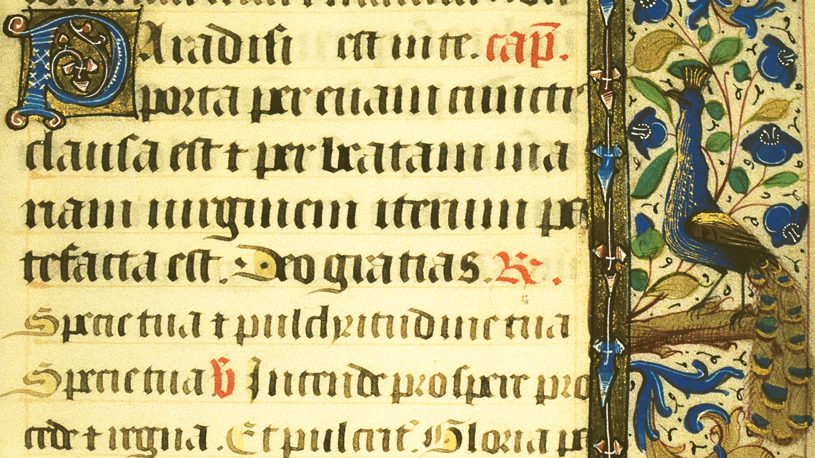 Latin text in illustrated manuscript
