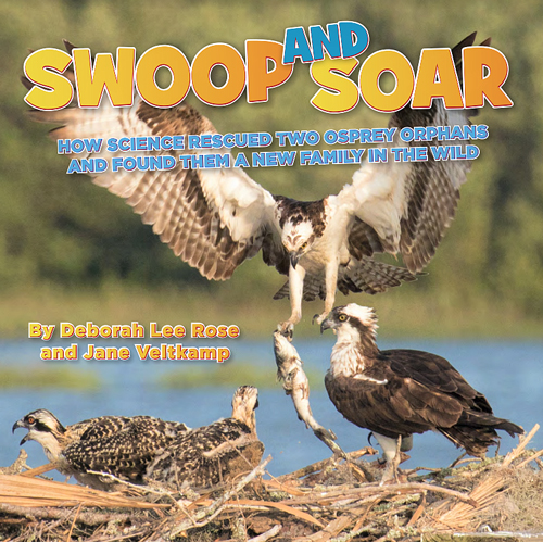 the cover of Swoop and Soar