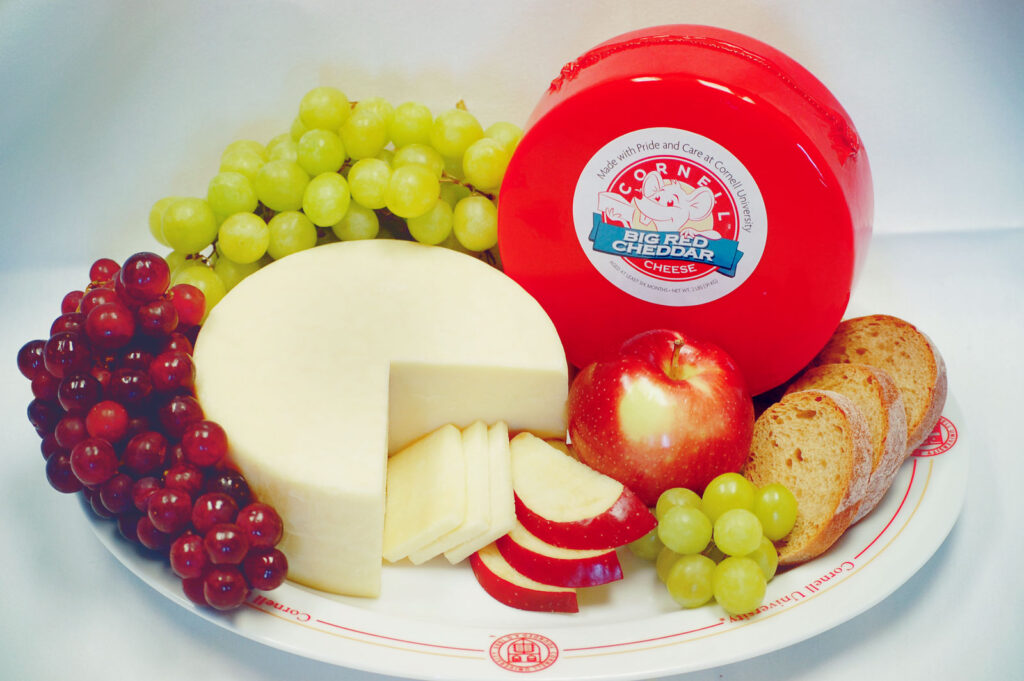 Cornell cheddar cheese with grapes, apples, and bread