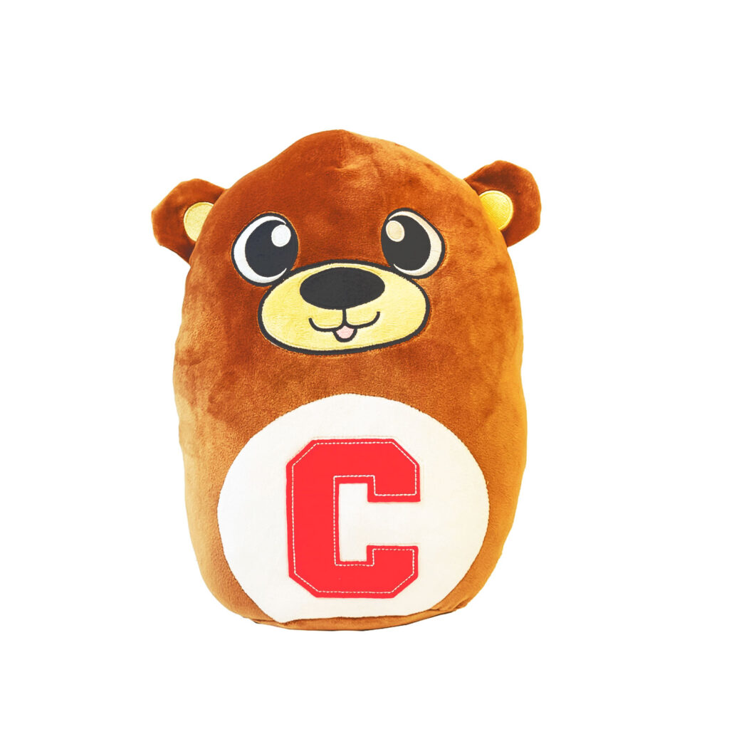 A Cornell squishy bear