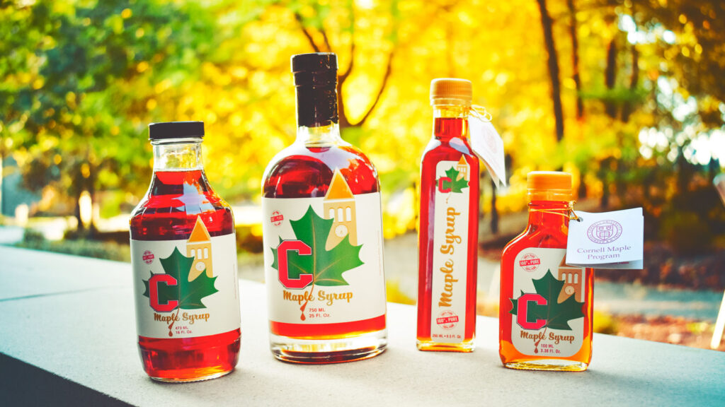 Bottles of Cornell maple syrup