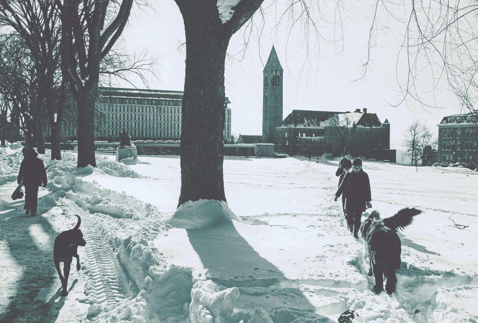 Students—and dogs—traverse a white-blanketed Arts Quad in the 1970s