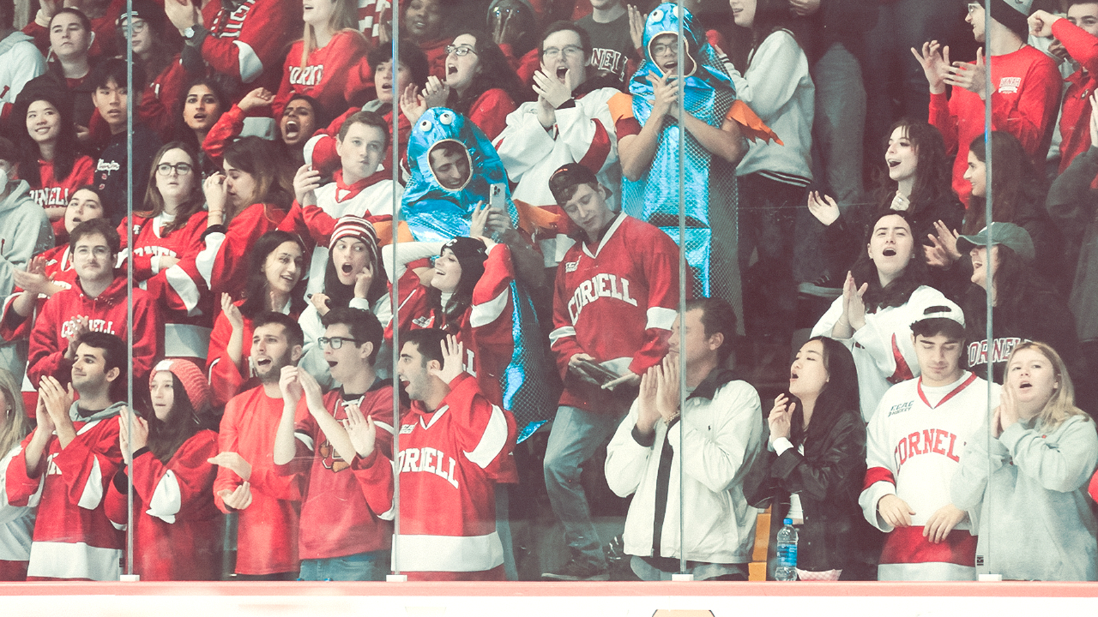 A crowd at a Cornell University hockey team featuring students wearing red jerseys and two students dressed in fish costumes.