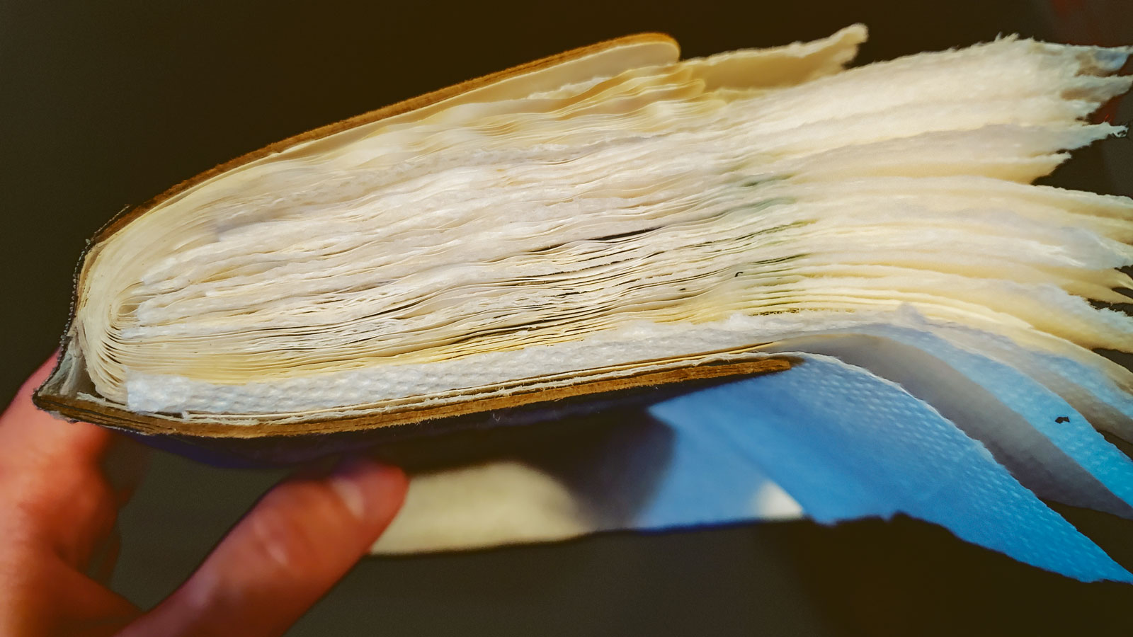 A close-up shot of a notebook with paper towels between the pages.