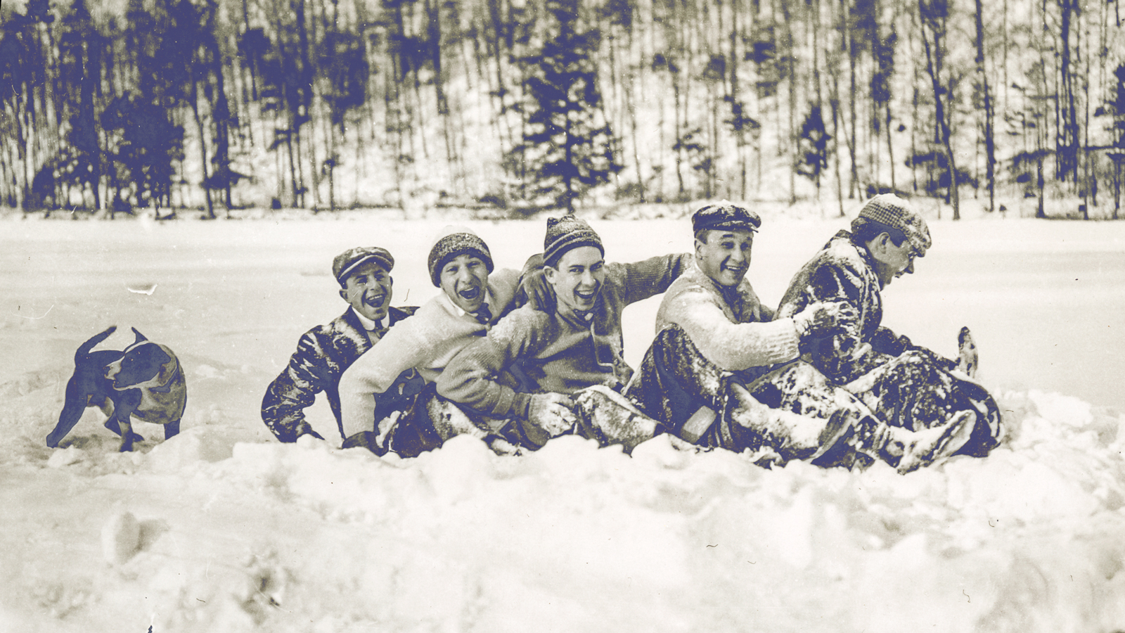 Five young men and a dog in the snow following a toboggan run