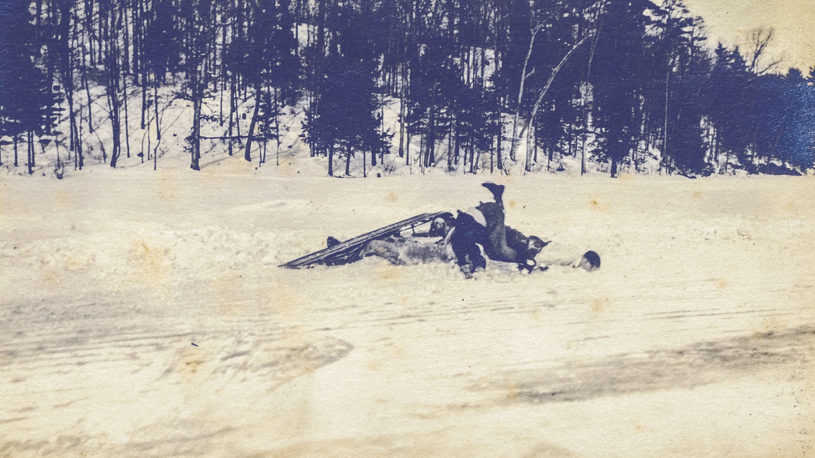 group of toboggan riders wipe out in the snow