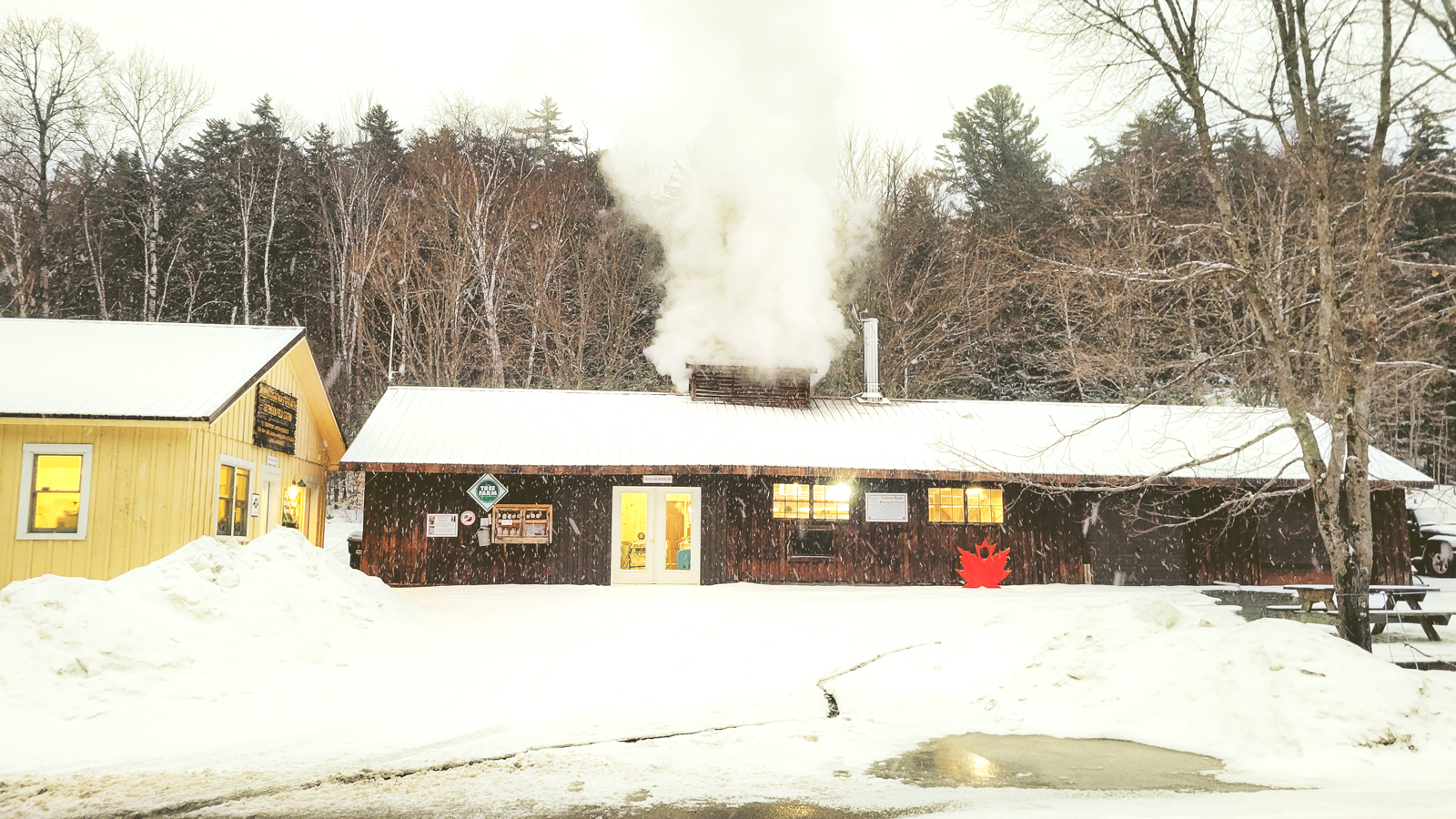 A brown maple sugar house with steam coming off the roof.