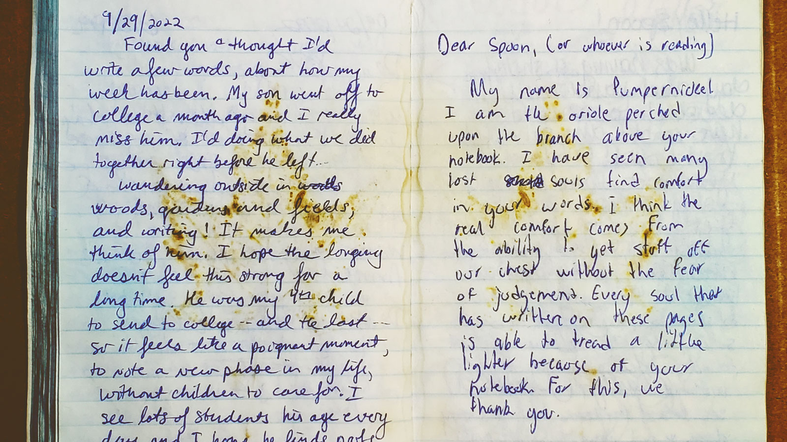Two pages from a lost notebook containing written messages from two individuals.
