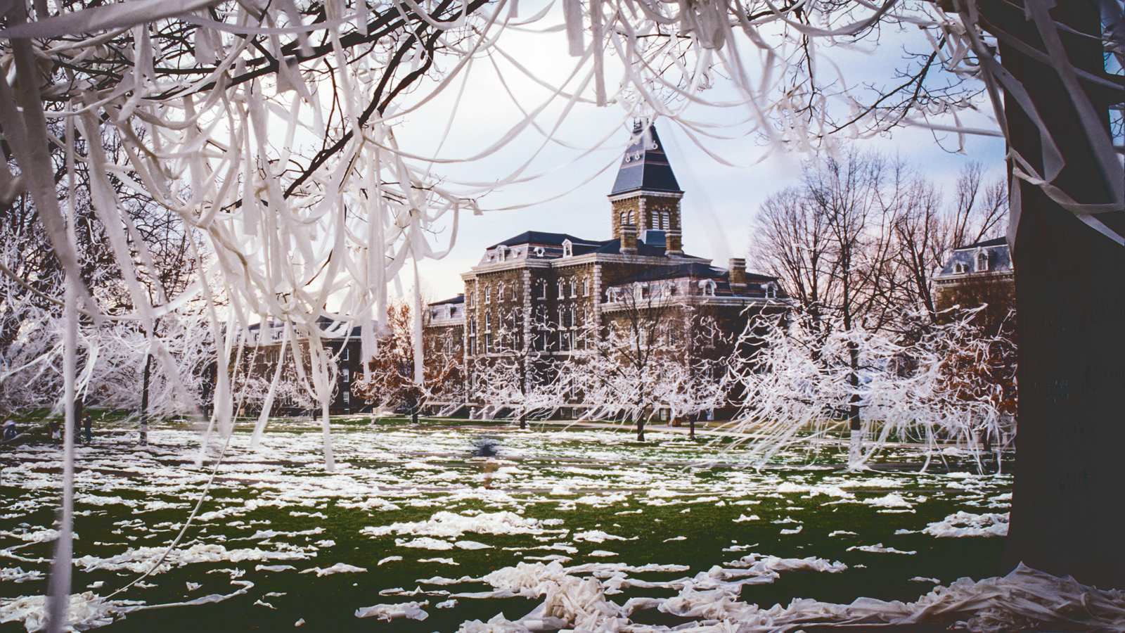 Toilet paper is shown strewn around the Arts Quad following Dragon Day 1996