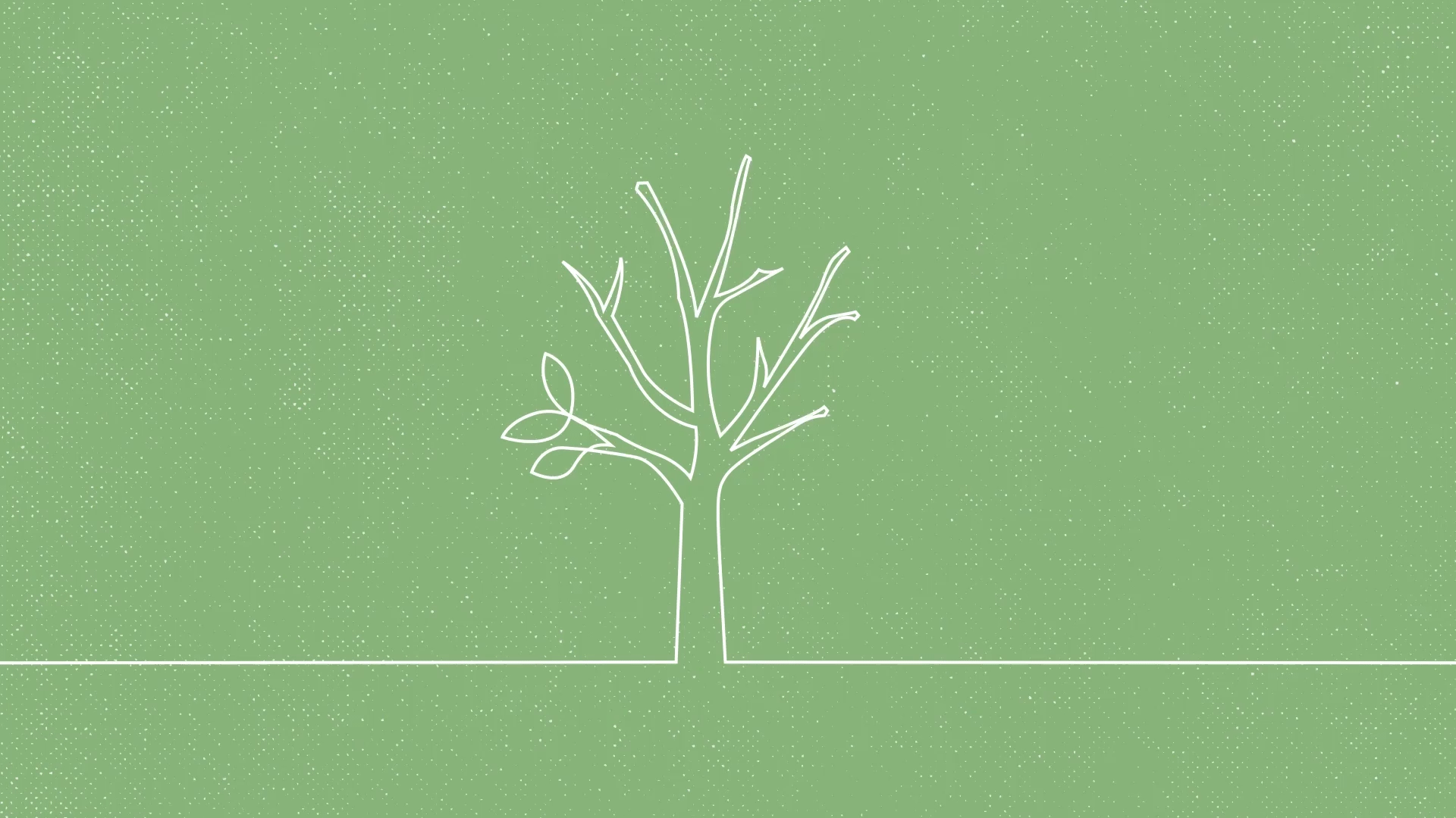 A GIF depicting a tree gradually adding its leaves