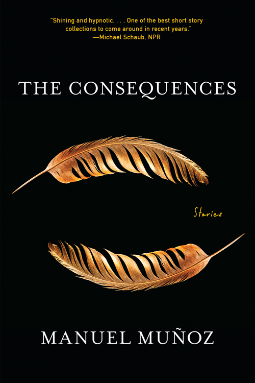 The cover of "The Consequences"