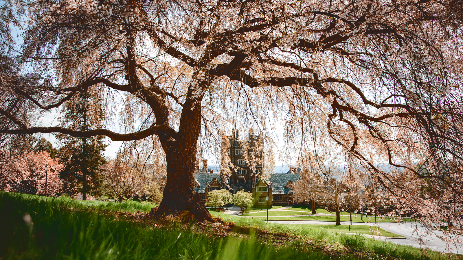 May / June 2023 - Cornellians | Cornell University