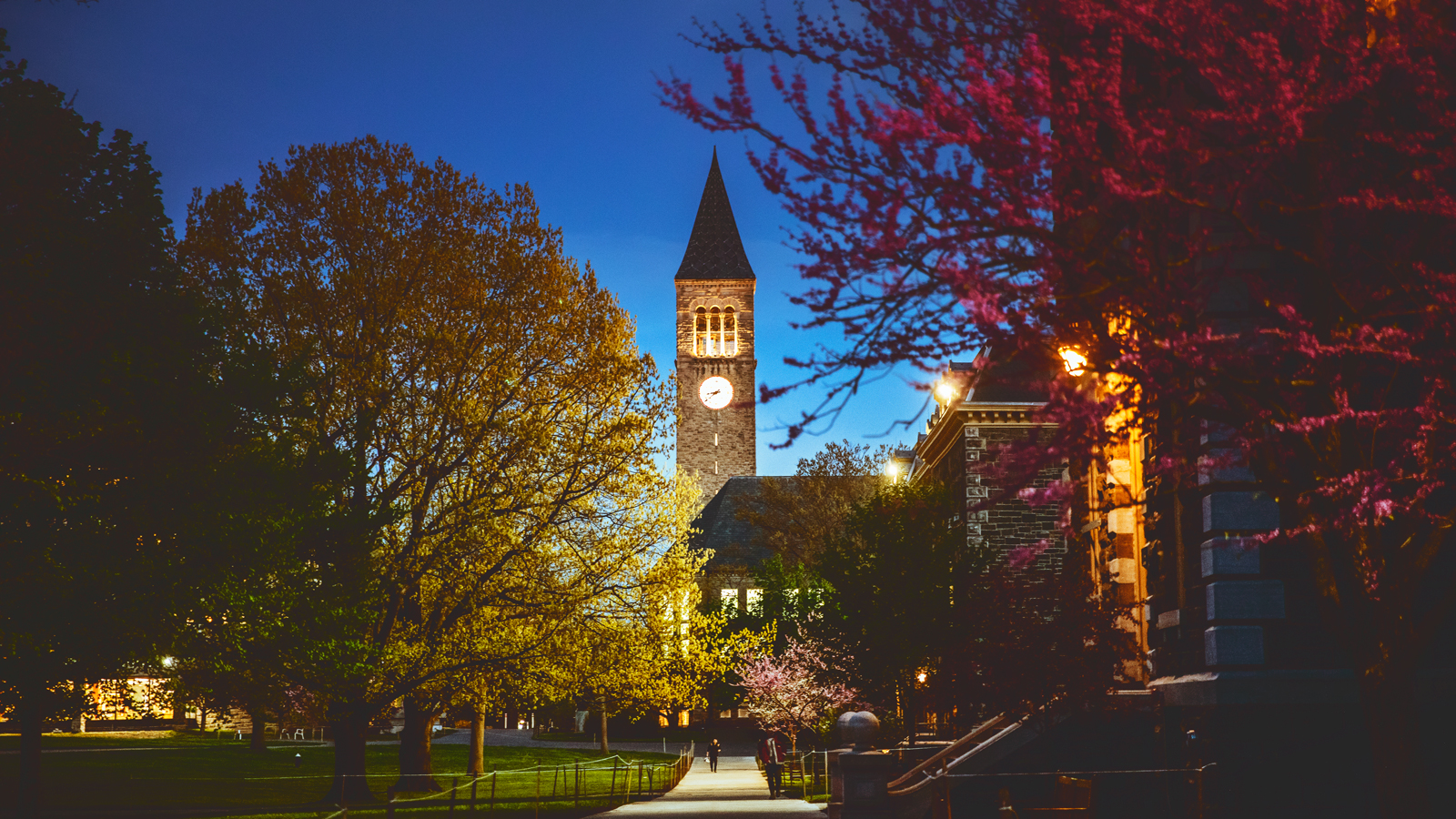 The Arts Quad is illuminated as dusk falls on campus.