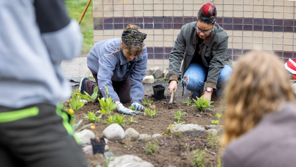 Students from the botanic gardens Learning by Leading program and the American Indian and Indigenous Studies program plant the "Full Circle Healing and Honoring Garden" in front of akwe:kon