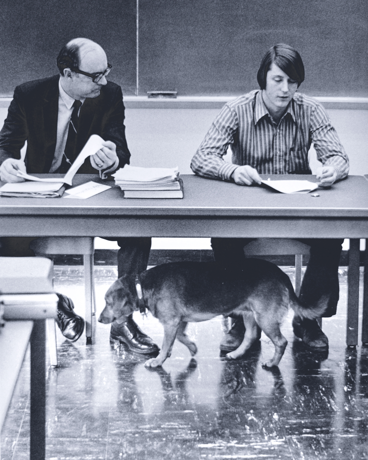 Dogs were long a constant presence on campus, outdoors and in