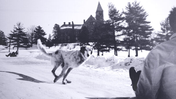 Once Upon a Time, Canines Cavorted on the Hill—Even in Class