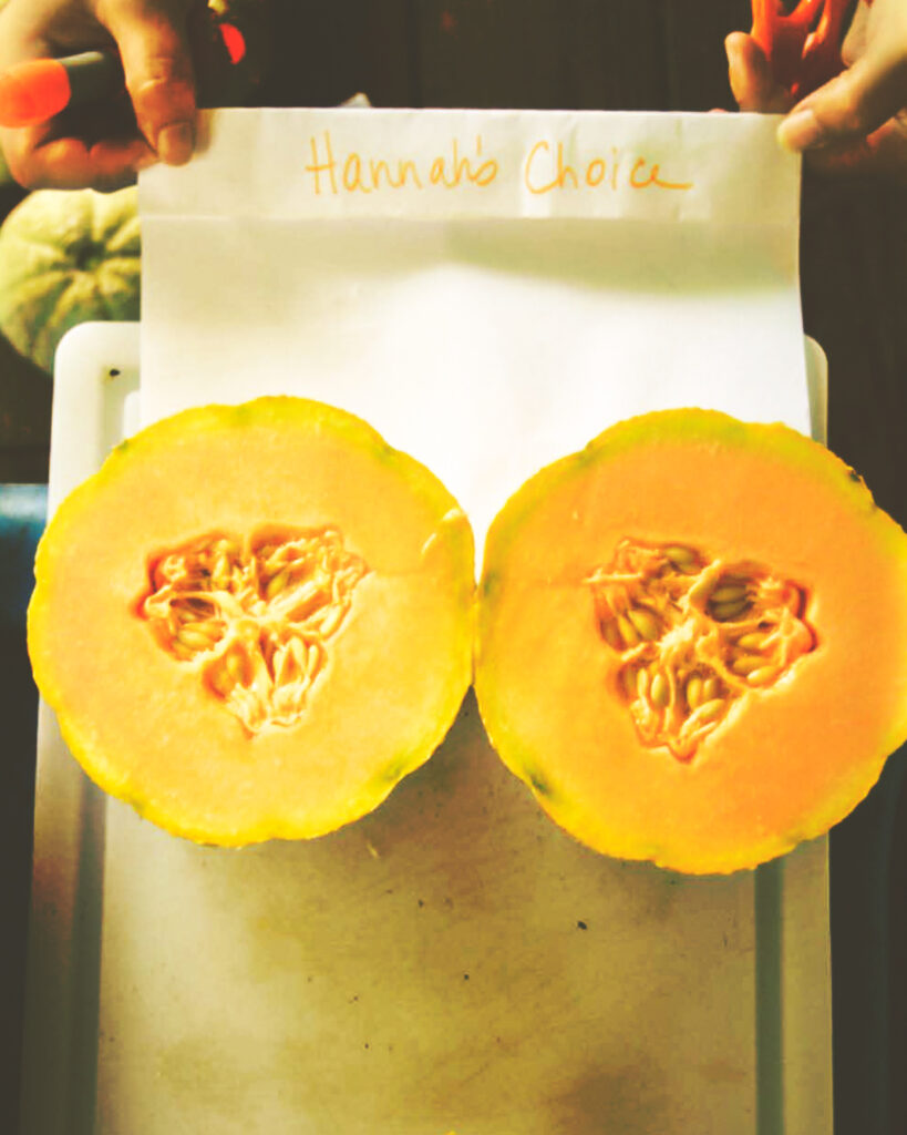 Hannah's Choice melon