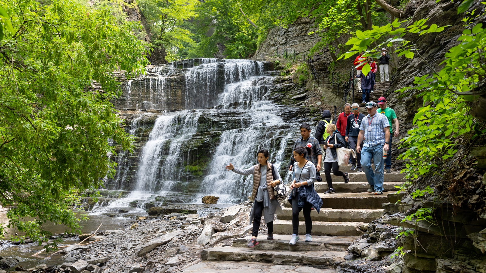 Reunion attendees on a walking tour of Cascadilla Gorge