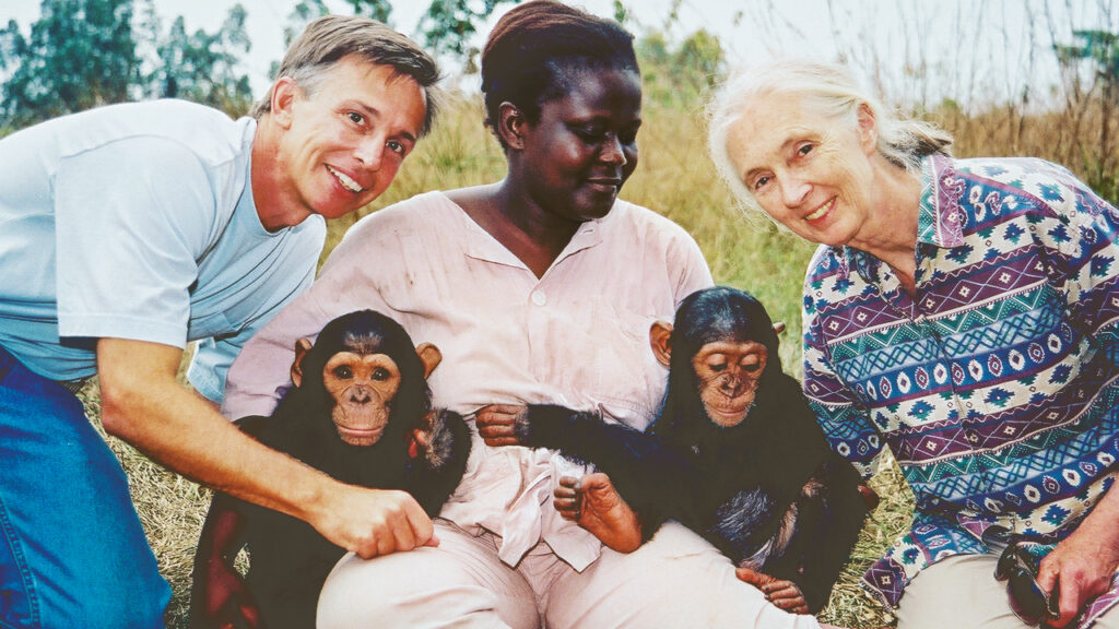 Three humans and two baby chimpanzees