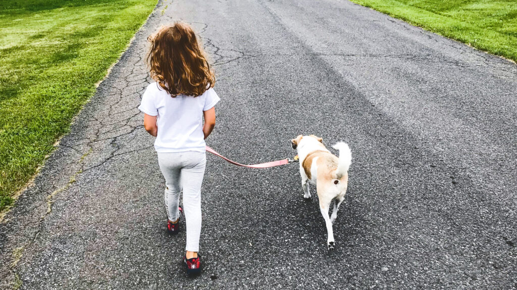 A young girl walking a dog down a street