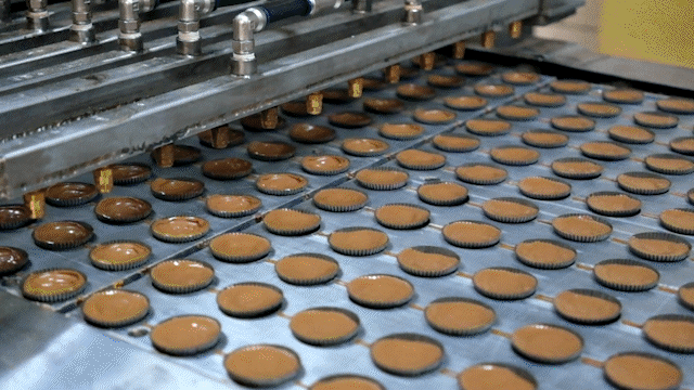 video clip scenes of various stages of peanut butter cup production