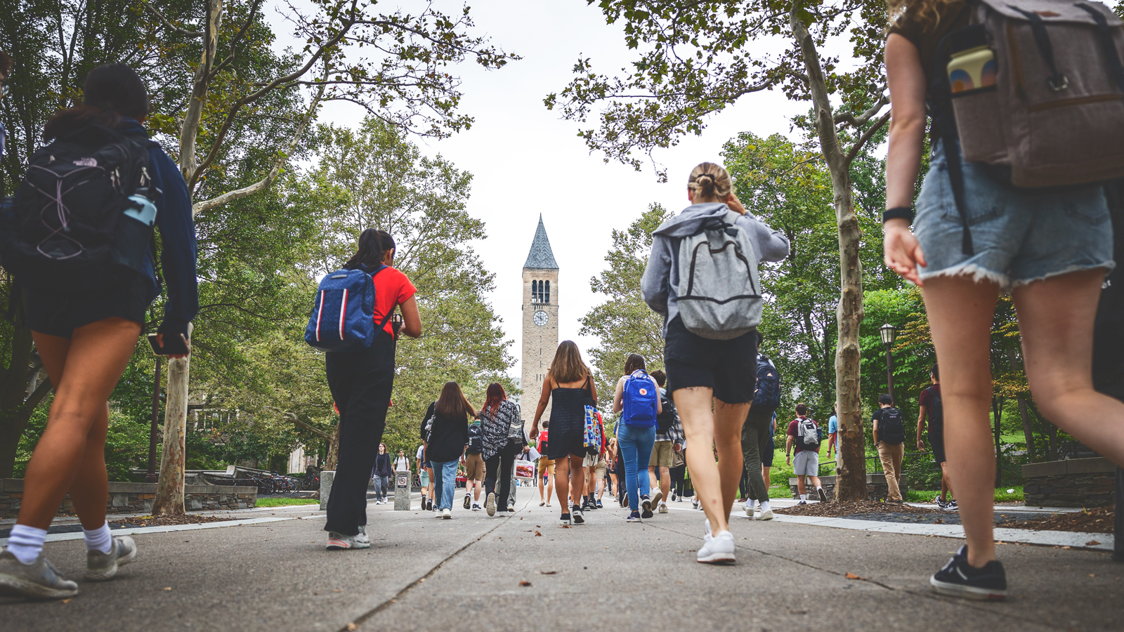 A group of college Cornell students walking toward McGraw Tower on the Cornell University campus with their backs turned to the camera.