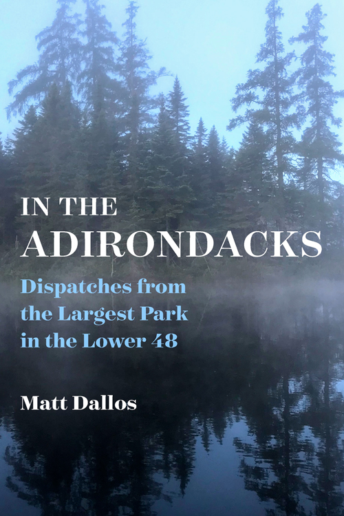 The cover of "In the Adirondacks"