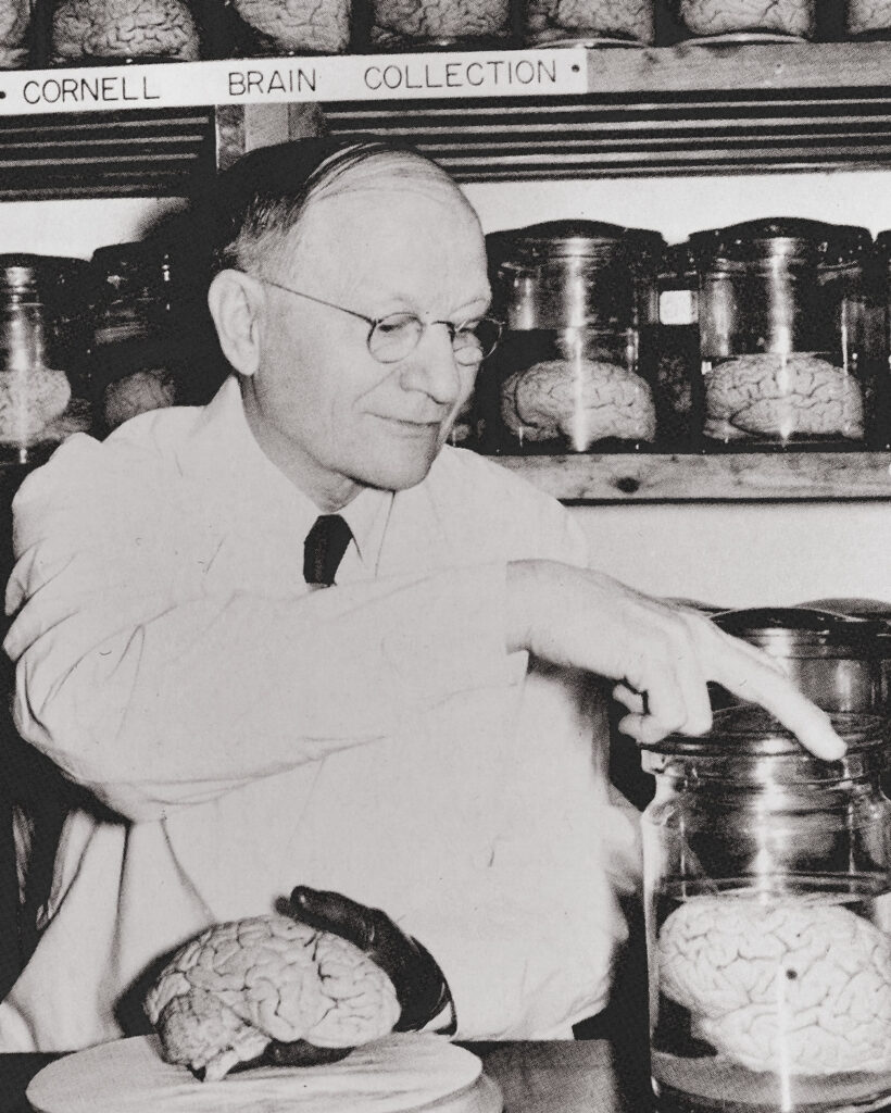 Cornell professor James Papez with the collection in 1950